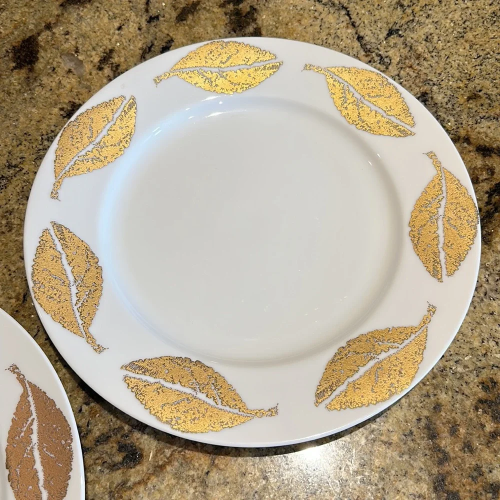 Set of 2 crate & barrel dinner plates